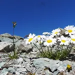 Silvretta 3* كابل