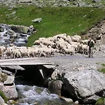 Silvretta