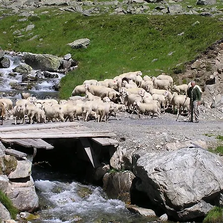 Silvretta