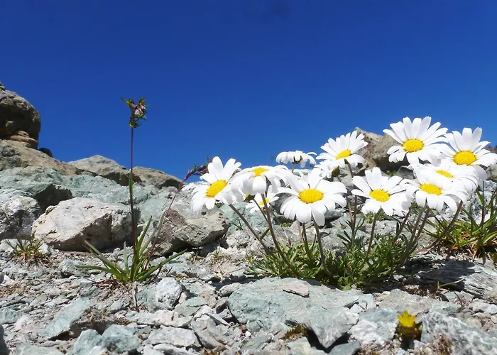 Silvretta 3* Kappl (Landeck)